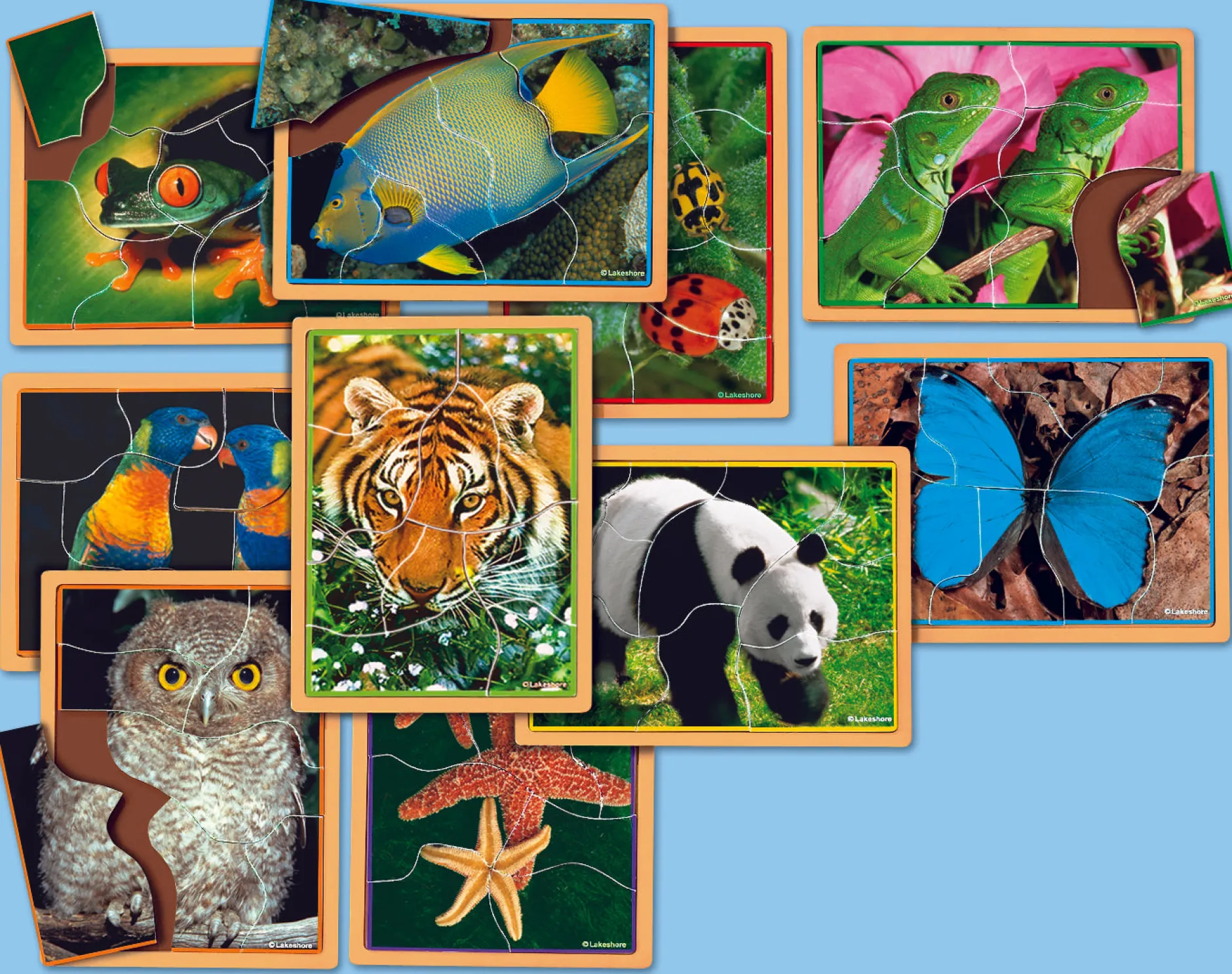 animals_up_close_puzzle_s_0.webp Educational Toys Animals Up Close Puzzle Set - Reduced To Clear!