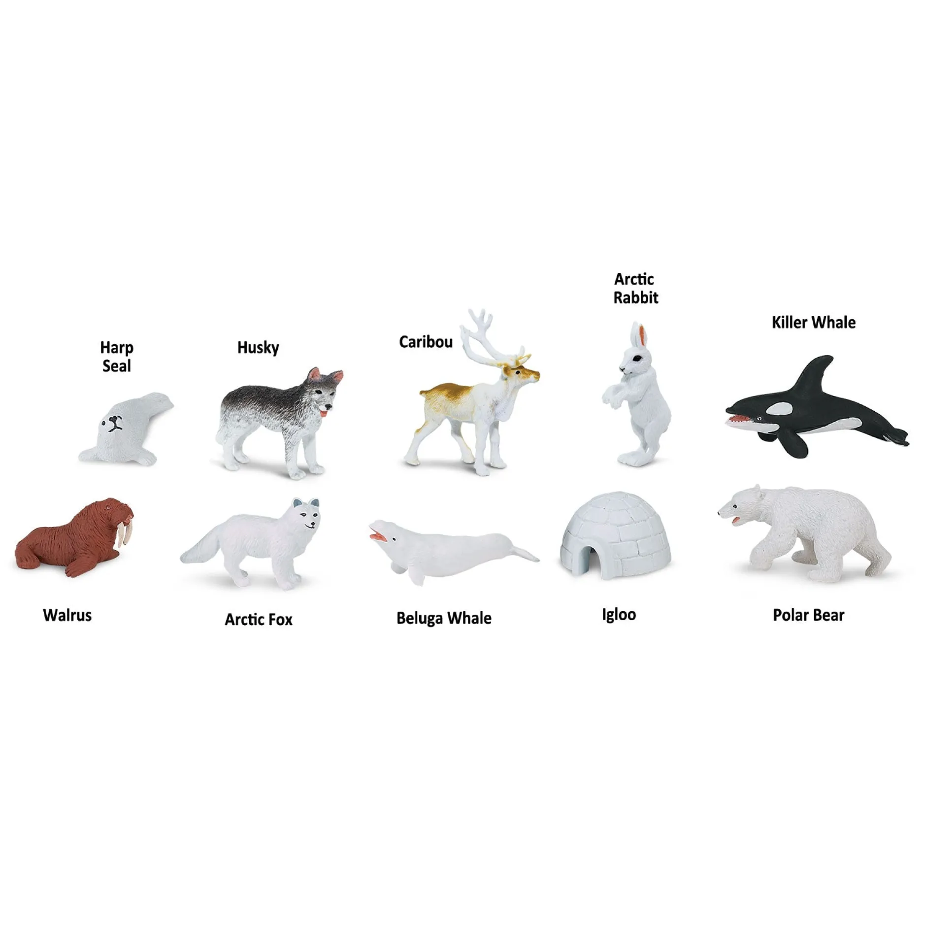 arctic_toob_2.webp Safari Arctic Toob