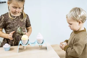 Dantoy Bio Ice Cream Set