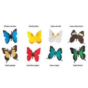 Safari Butterflies Toob
