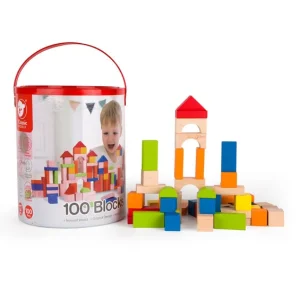 Educational Toys Classic World Building Blocks 100pc