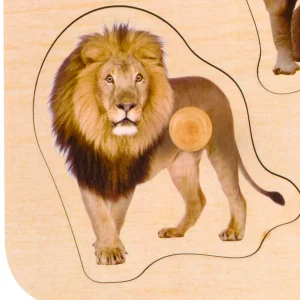 Classic World Wild Animal Puzzle