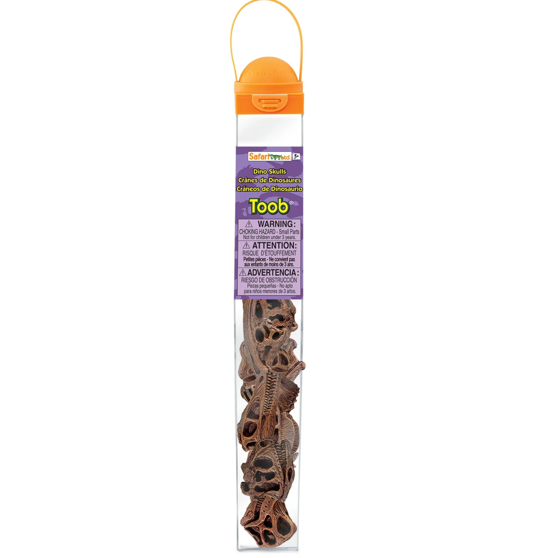 dinosaur_skulls_toob_2.webp Educational Toys Dinosaur Skulls Toob