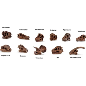 Educational Toys Dinosaur Skulls Toob