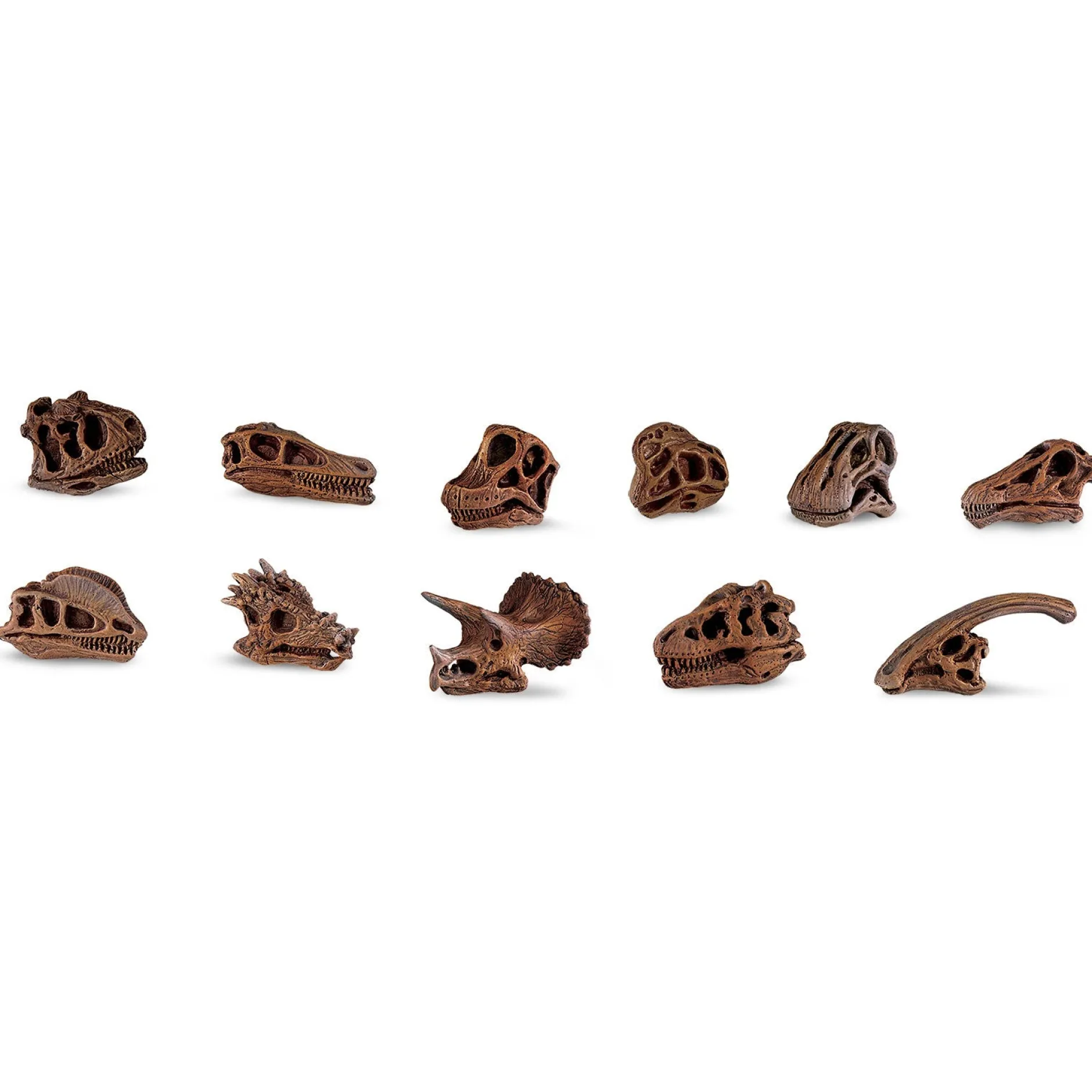 dinosaur_skulls_toob_7.webp Educational Toys Dinosaur Skulls Toob