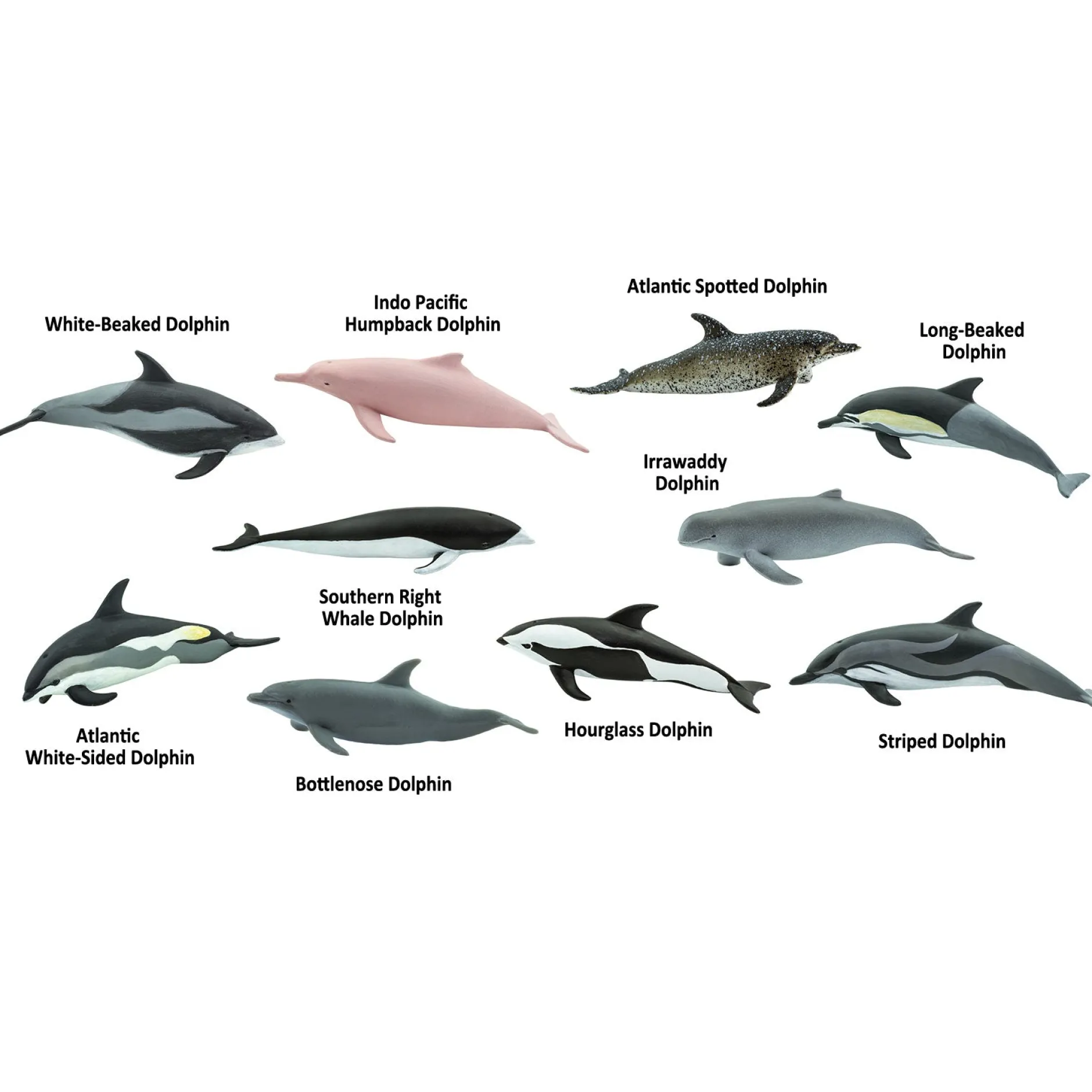 dolphins_toob_4.webp Educational Toys Dolphins Toob