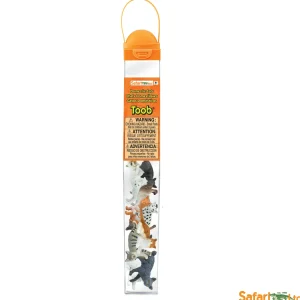 Educational Toys Domestic Cat Toob