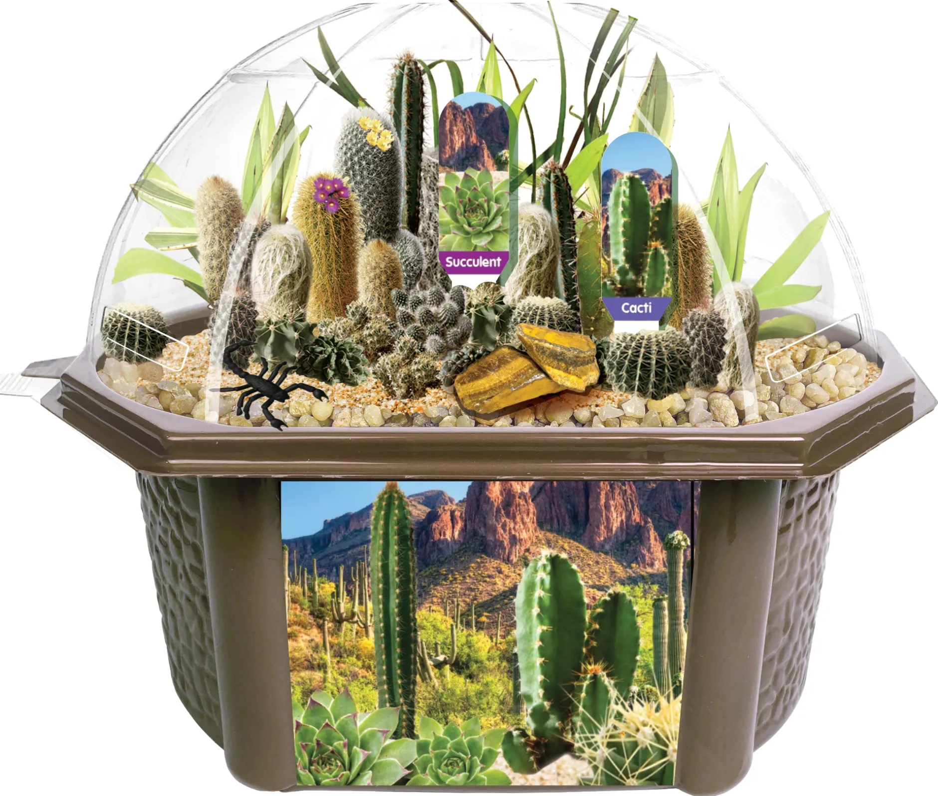 dunecraft_desert_biodome_1.webp Silvercircle Dunecraft Desert Biodome