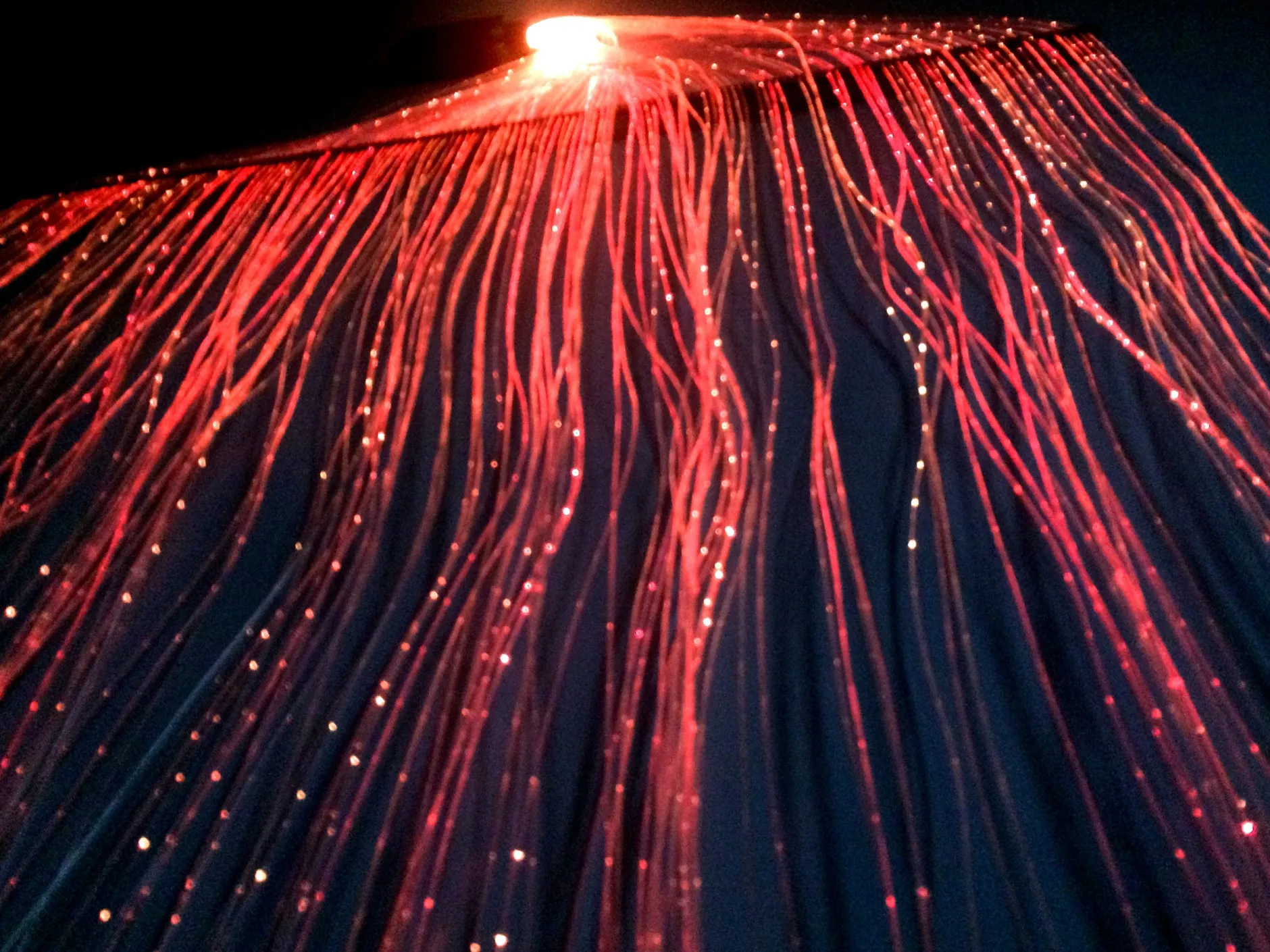 fibre_optic_curtain__fibr_12.webp Rover Education Fibre Optic Curtain (150 fibres) with interactive light