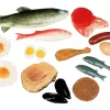 Educational Toys Food Group: Proteins - REDUCED TO CLEAR!