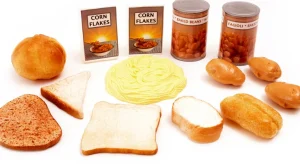 Educational Toys Food Groups: Carbs and Grains - REDUCED TO CLEAR!