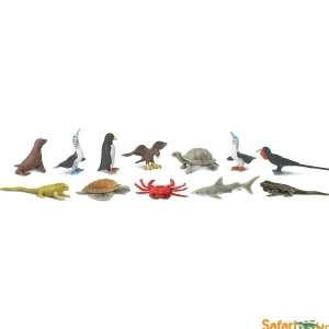 Educational Toys Galapagos Toob