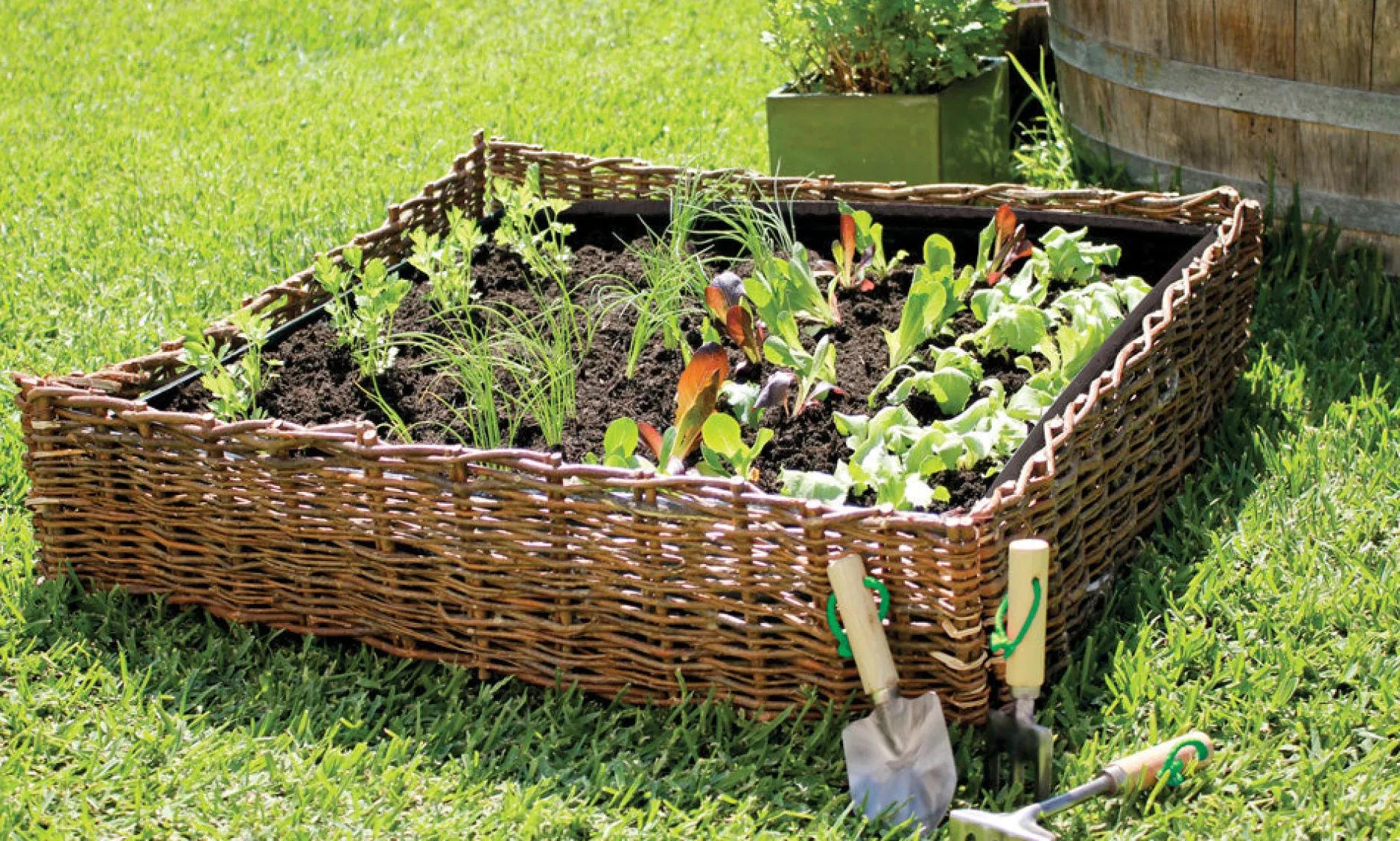 garden_planter__x__x_cm_w_1.webp Educational Toys Garden Planter 80 x 80 x 20cm with Liner
