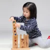 Educational Toys Gems N Pets