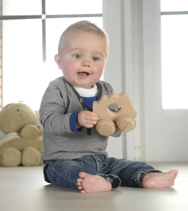 Educational Toys Grasping Push Along Hedgehog - REDUCE TO CLEAR!