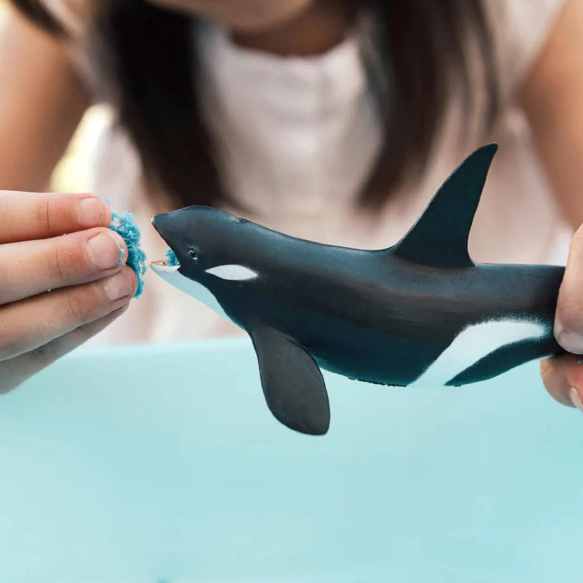 killer_whale_orca_1.webp Safari Killer Whale (Orca)