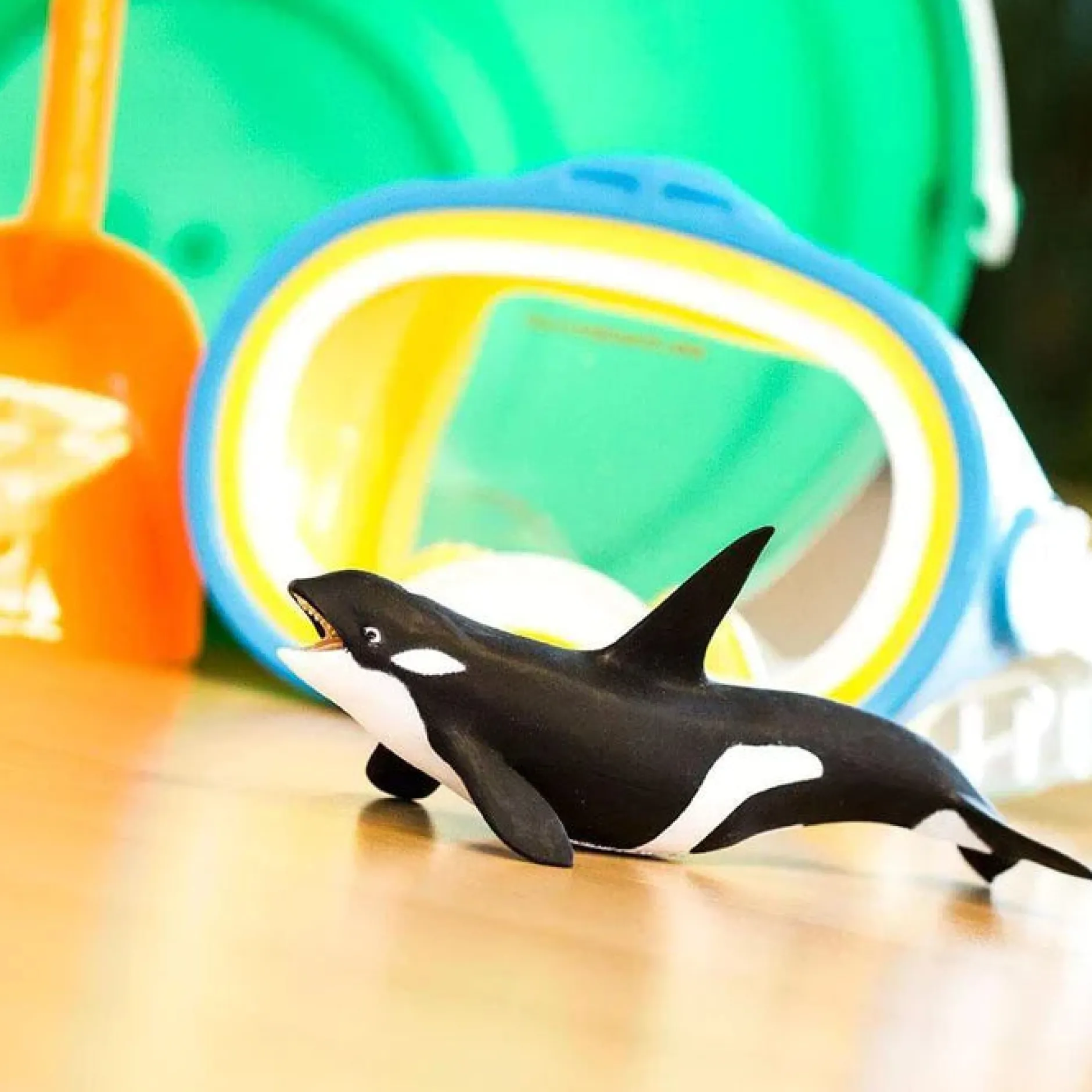 killer_whale_orca_7.webp Safari Killer Whale (Orca)