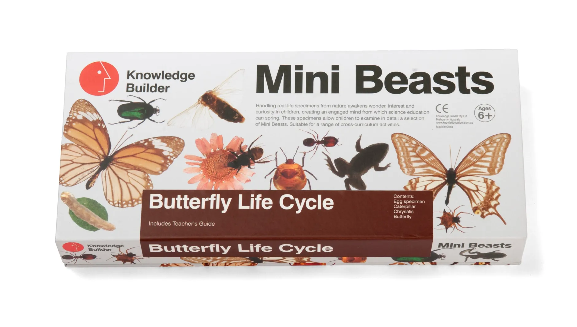 mini_beasts_butterfly_lif_0.webp KNOWLEDGE BUILDER Mini Beasts Butterfly Life Cycle - Reduced To Clear!