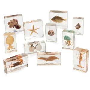KNOWLEDGE BUILDER MINI BEASTS OCEAN (LARGE SET) - Reduced To Clear!