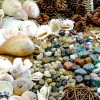 Educational Toys Natural Exploration Treasure Basket