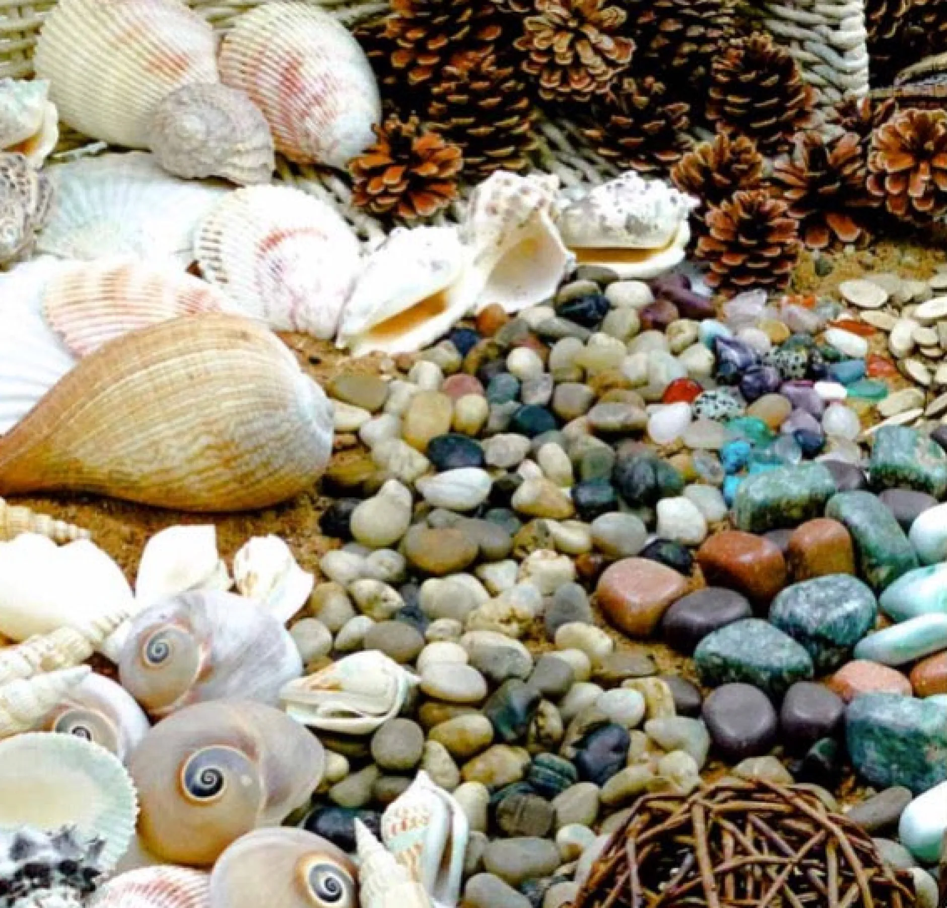 natural_exploration_treas_3.webp Educational Toys Natural Exploration Treasure Basket