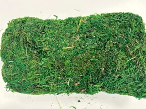 Anthony Peters Natural Moss in a Bag - 100g