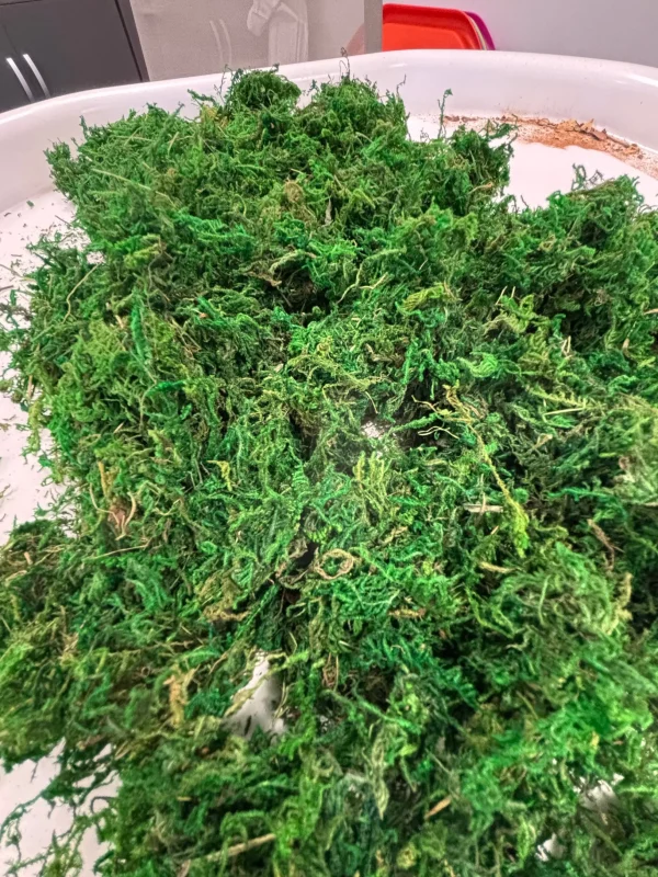 Anthony Peters Natural Moss in a Bag - 100g
