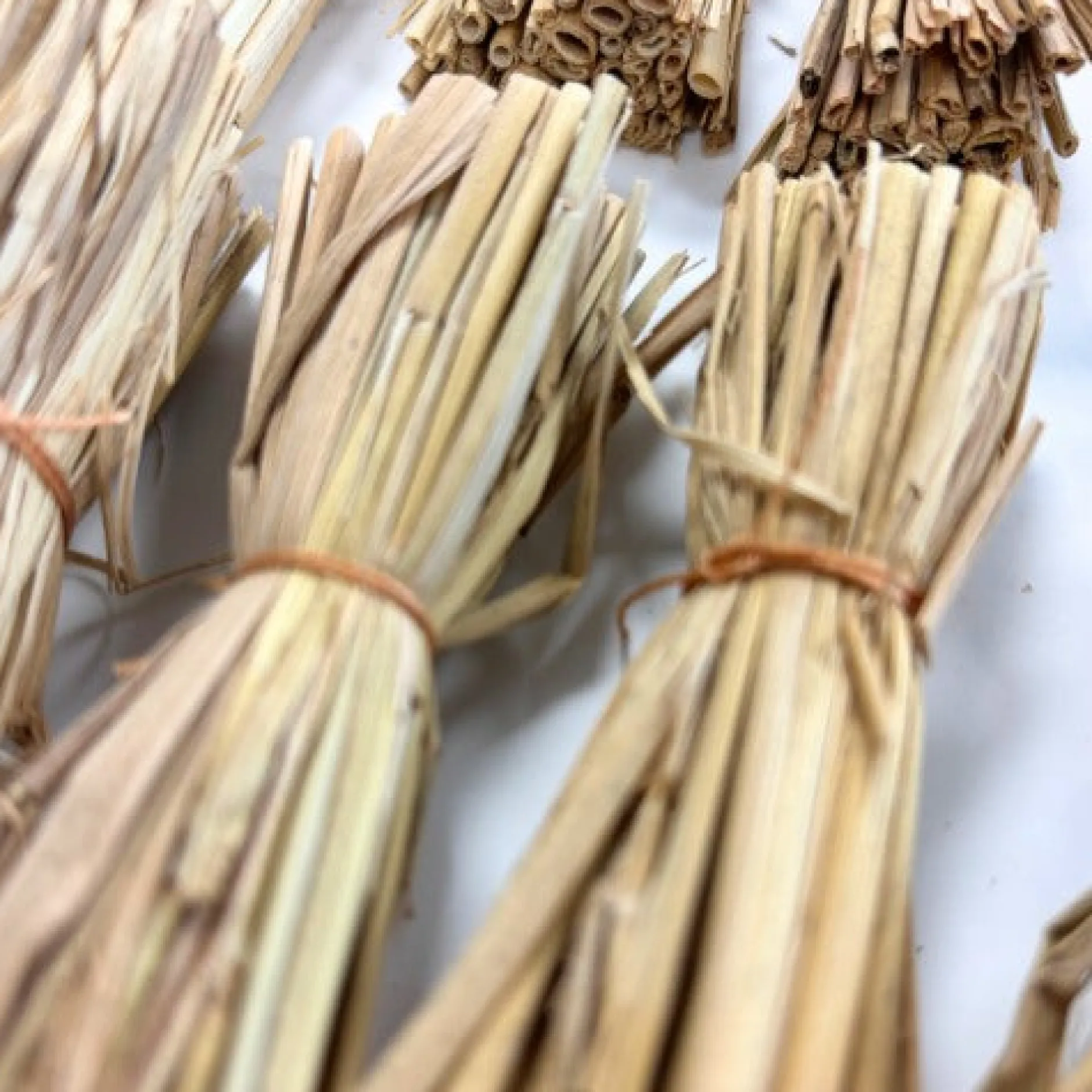 natural_wild_grass_bundle_2.webp Anthony Peters Natural Wild Grass Bundles - Pack of 10