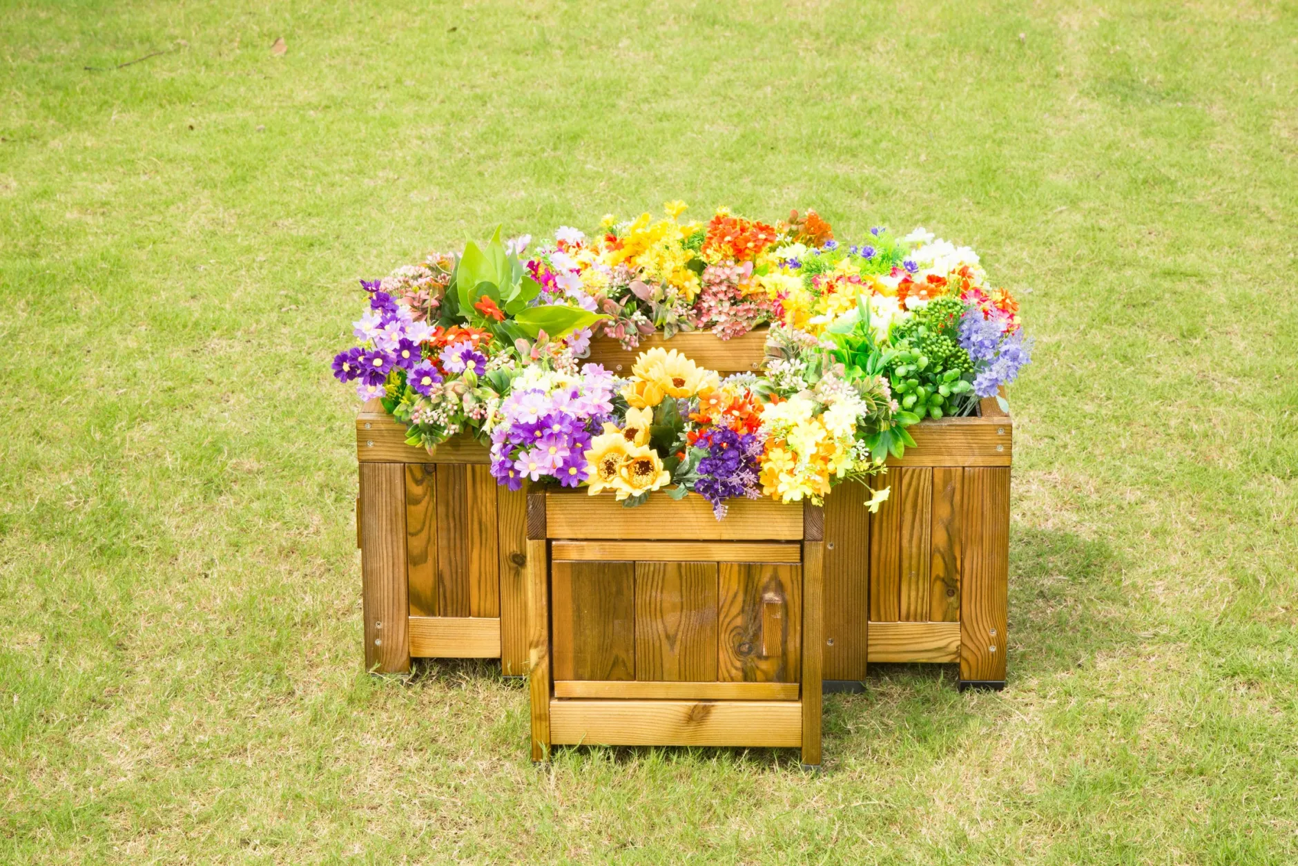 root_viewing_planter_6.webp Wisdom Root Viewing Planter