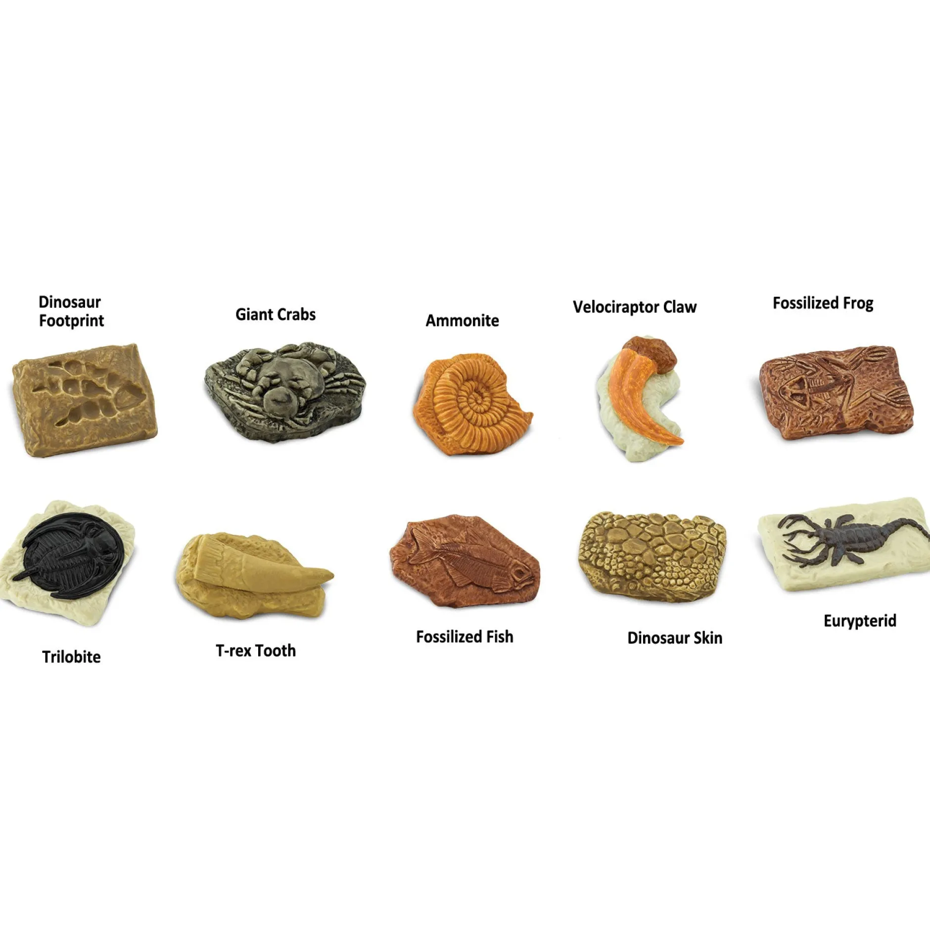 safari_ancient_fossils_to_2.webp Safari Ancient Fossils Toob
