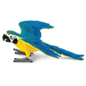 Safari Blue & Gold Macaw