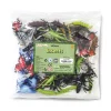 Educational Toys Safari Insect Bulk Pack