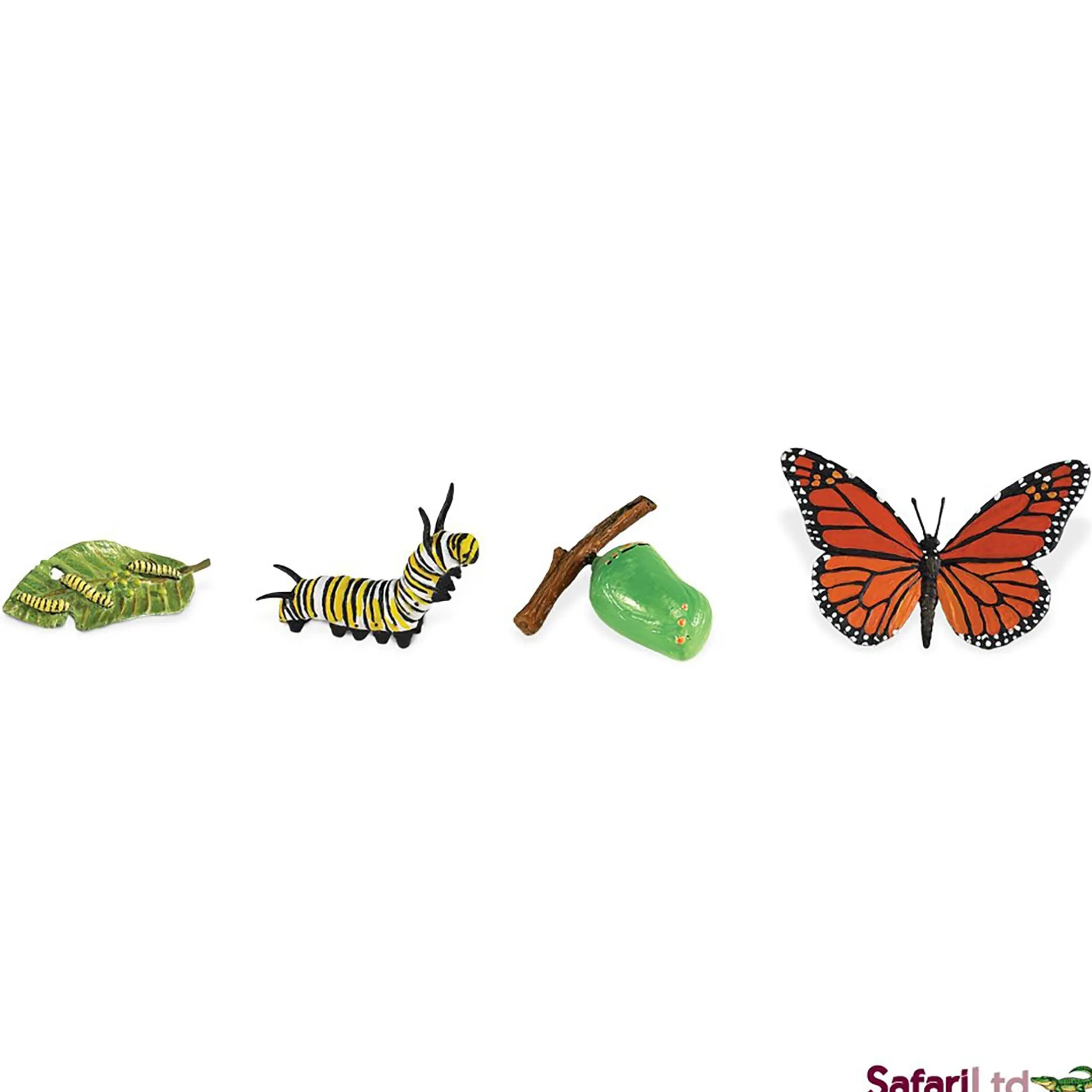 safari_life_cycle_of_a_mo_3.webp Educational Toys Safari Life Cycle of a Monarch Butterfly