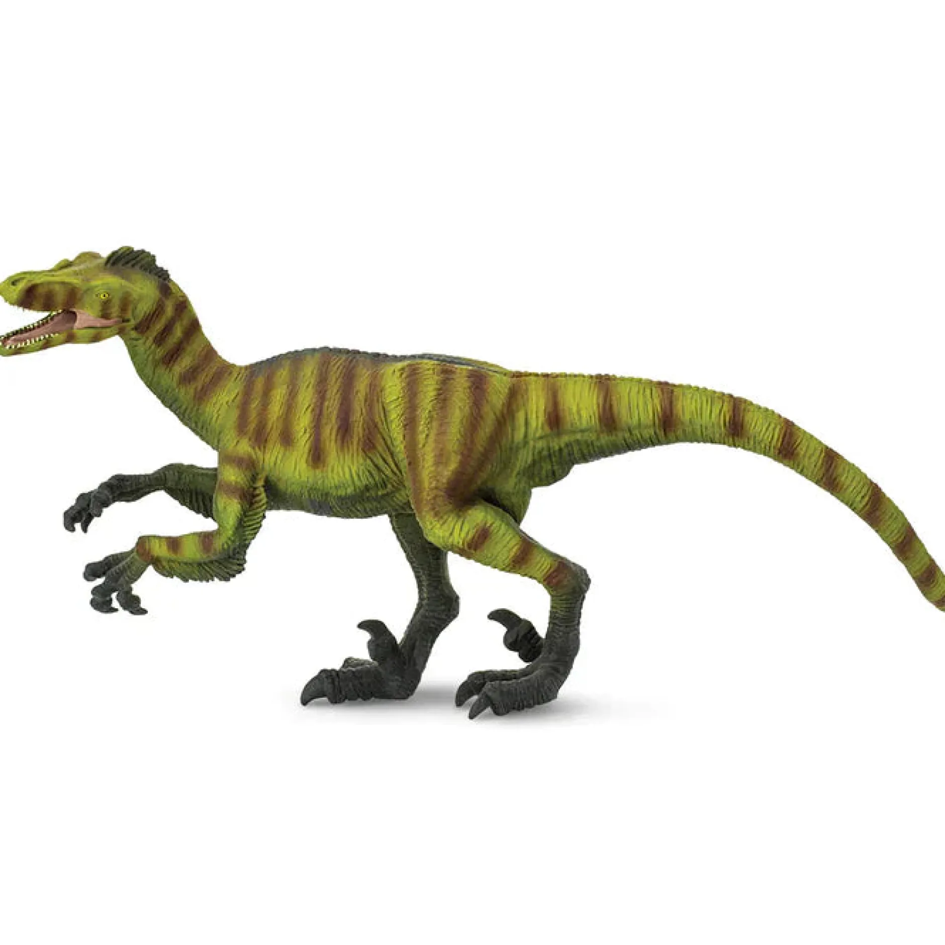 safari_velociraptor_4.webp Safari Velociraptor