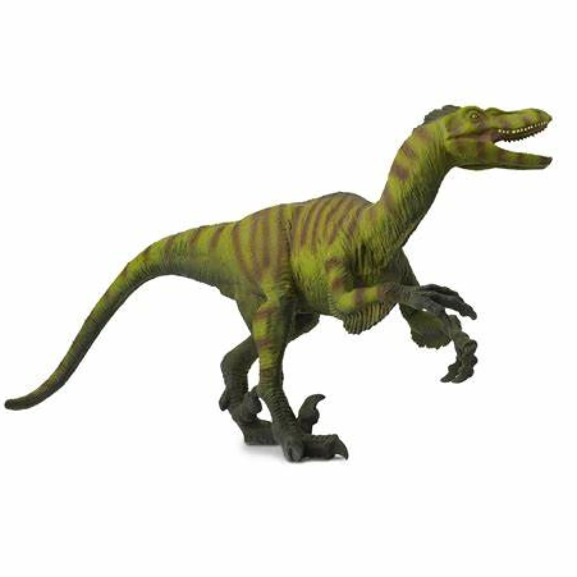 safari_velociraptor_5.webp Safari Velociraptor