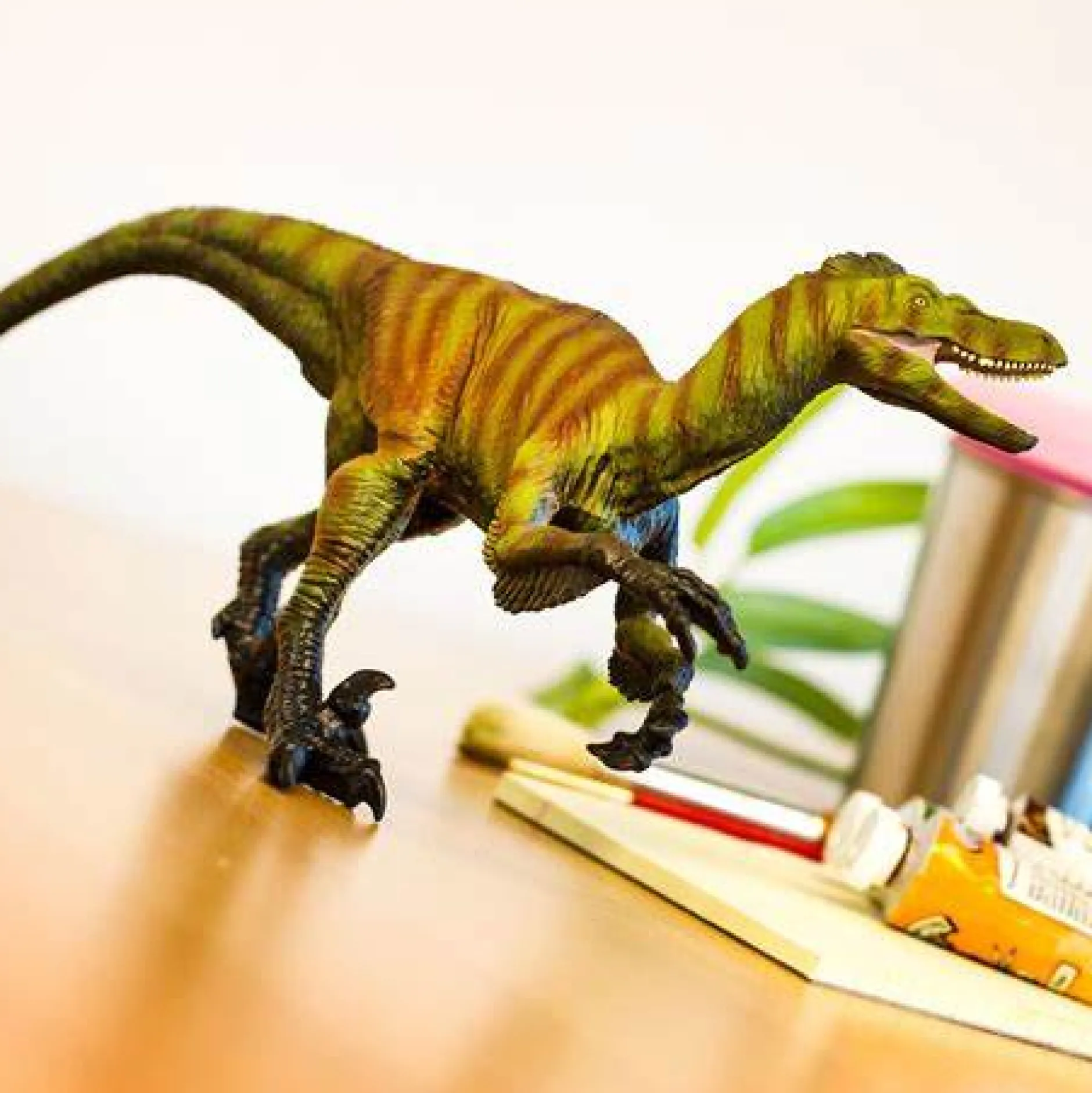 safari_velociraptor_6.webp Safari Velociraptor