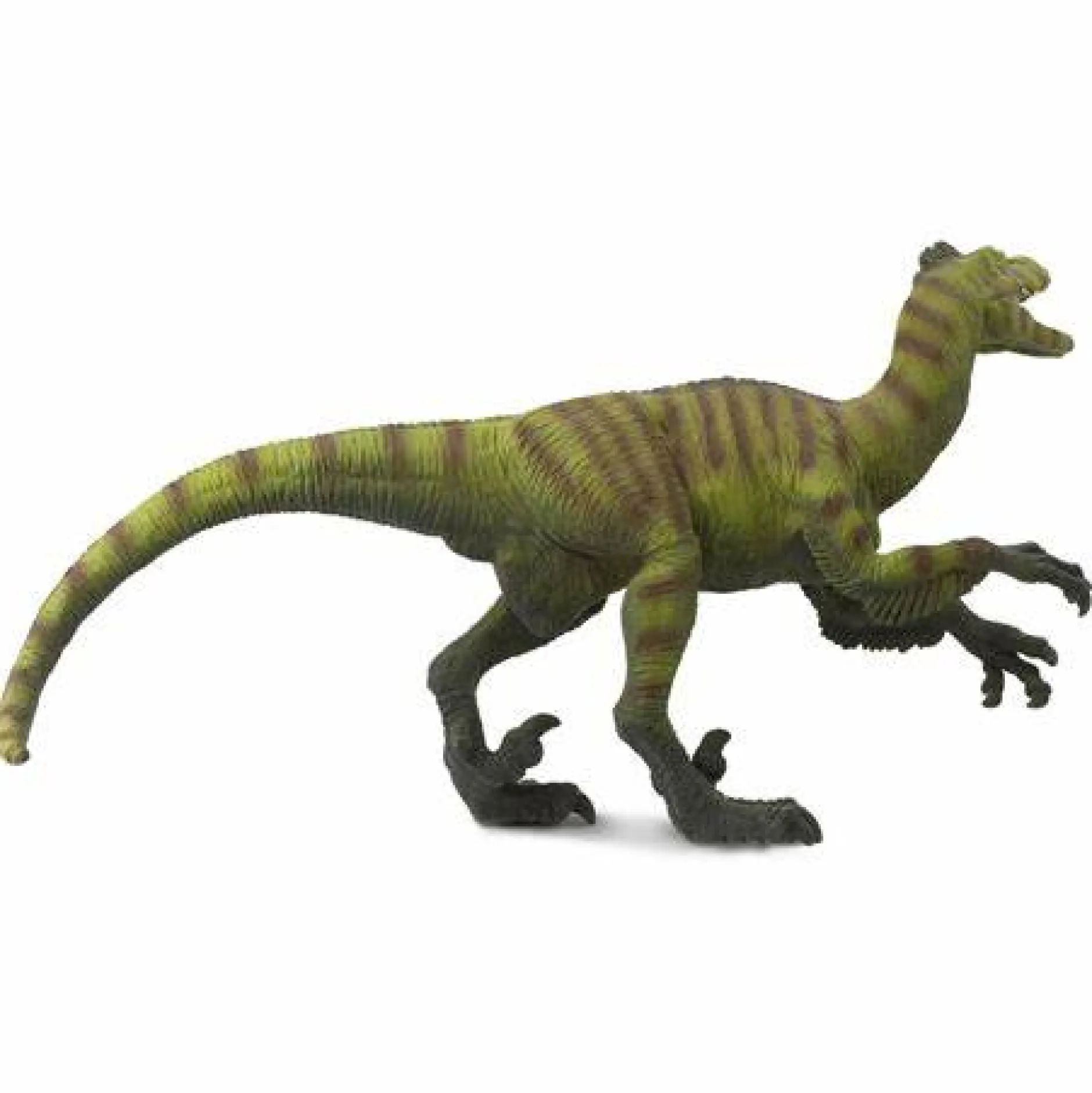 safari_velociraptor_7.webp Safari Velociraptor