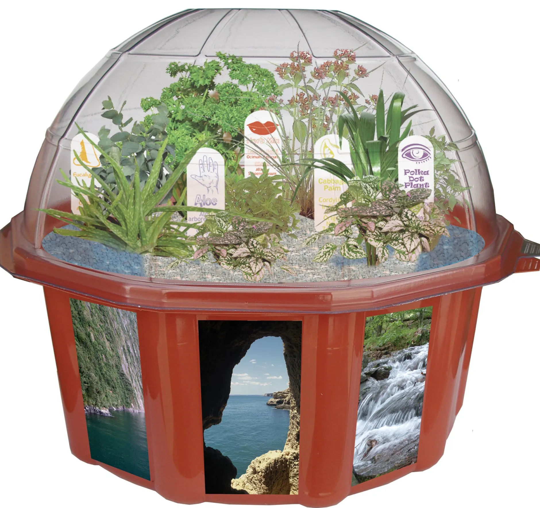 sensory_ecobiosphere_plan_0.webp Silvercircle Sensory Eco-Biosphere Plant Dome with 5 Different Seeds