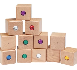 Educational Toys Sound Matching Blocks