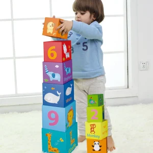 Classic World Stacking Cubes