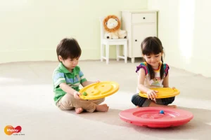 Weplay Tai Chi Balance Board