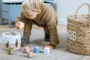 Educational Toys Tiny Bio Shape Sorter