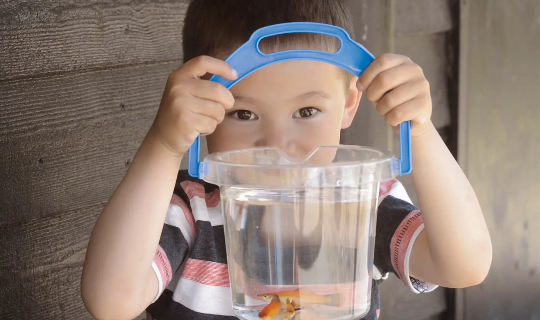 transparent_bucket_0.webp Dantoy Transparent Bucket