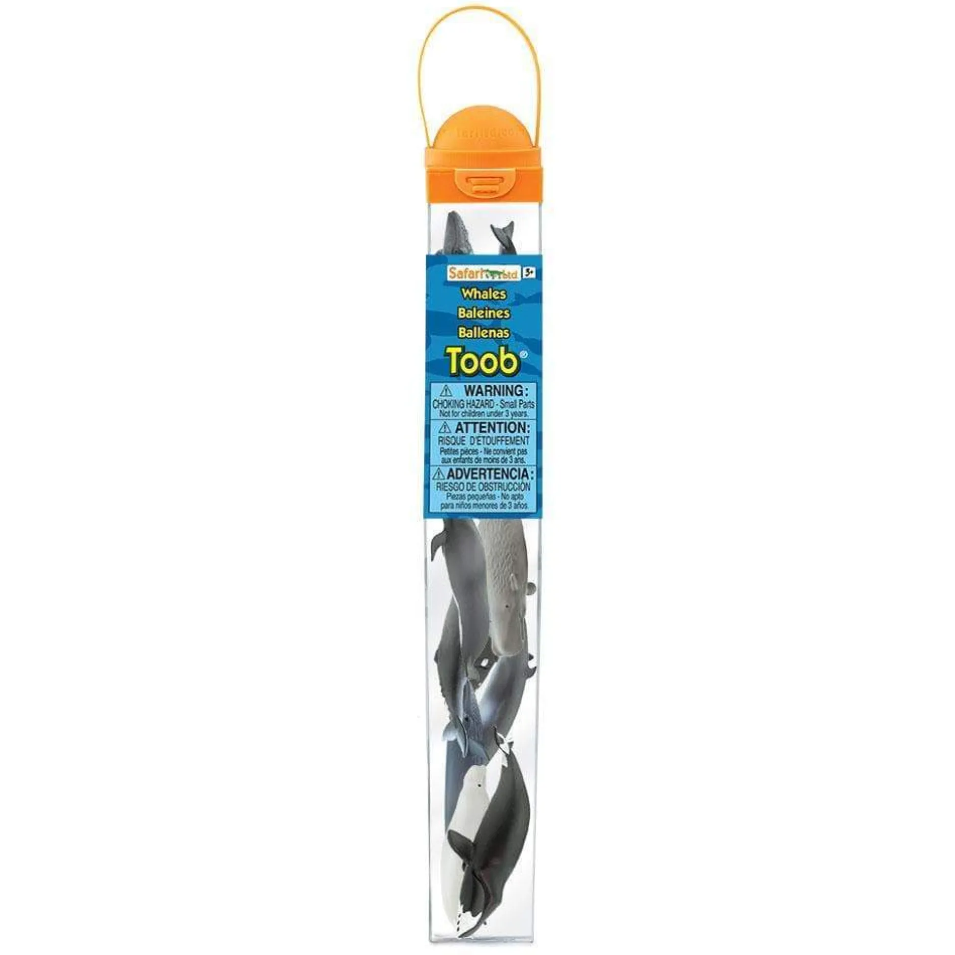 whales_and_dolphins_toob_5.webp Safari Whales and Dolphins Toob