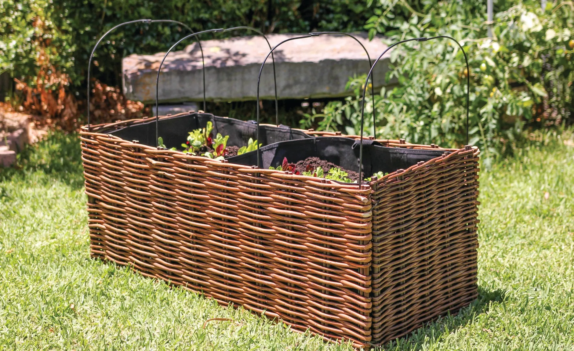 willow_planter__x__x__cm__1.webp Educational Toys Willow Planter 100 X 40 X 40cm With Liner